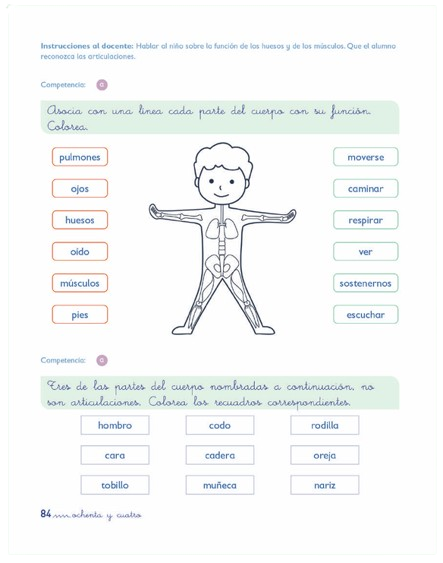MI ZARANDA ATENCIÓN INTEGRAL 3