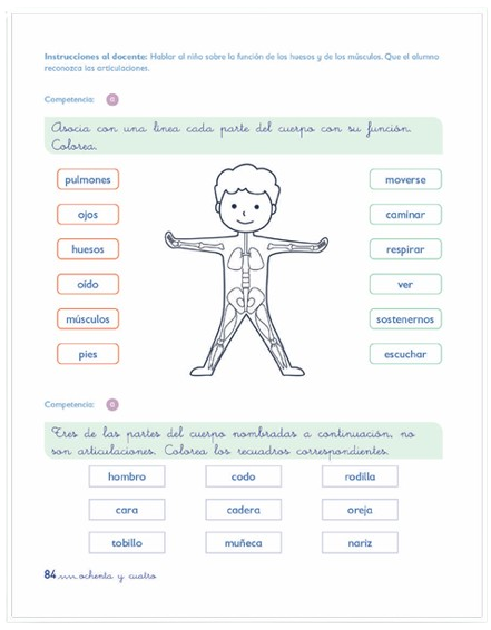 MI ZARANDA ATENCIÓN INTEGRAL B