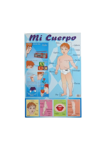 AFICHE EDUCATIVO DEL CUERPO HUMANO