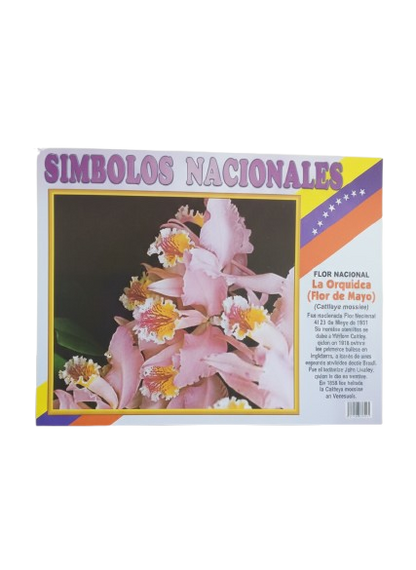 AFICHE EDUCATIVO DE LOS SIMBOLOS PATRIOS Y NATURALES