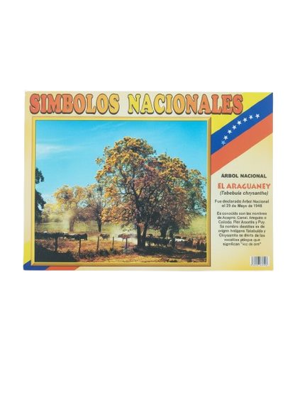 AFICHE EDUCATIVO DE LOS SIMBOLOS PATRIOS Y NATURALES
