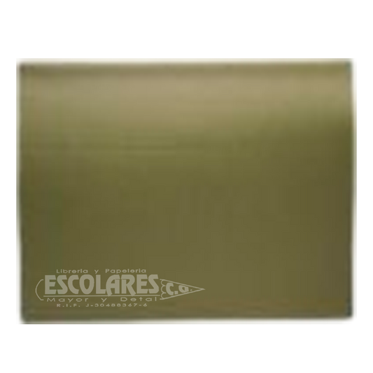 CARPETA COLGANTE
