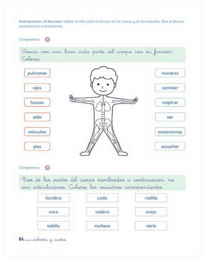 MI ZARANDA ATENCIÓN INTEGRAL 3